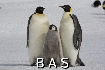 [10009419]
