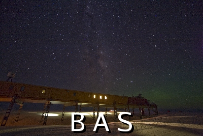 [10009466]