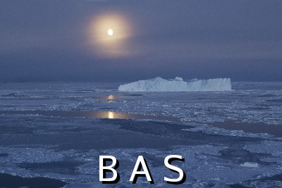 [10009629]