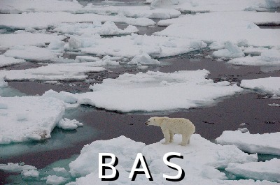 [10009654]
