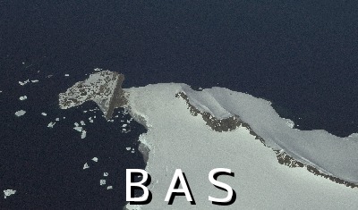 [10009878]