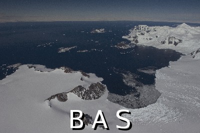 [10009879]