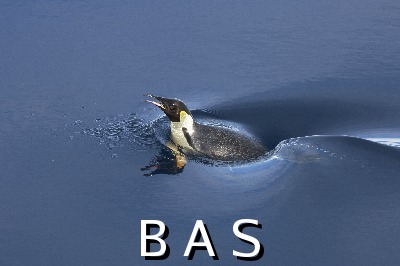 [10010589]