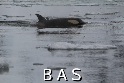 [10011679]
