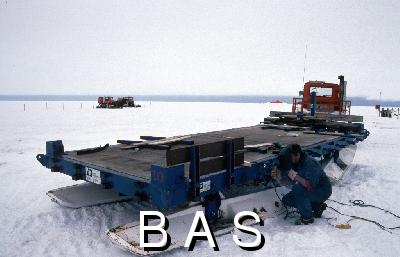 [10004194]