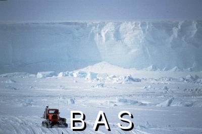 [10004209]
