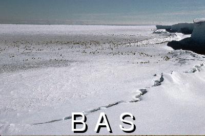 [10005308]