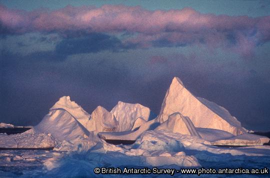 Sculptured icebergs grounded in North Bay, Rothera Point, Adelaide Island.