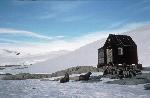 [10003024]