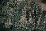 [10007451]