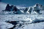 [10002389]