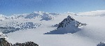 [10010318]