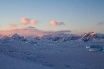 [10010465]