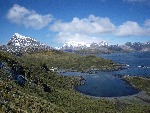 [10010504]