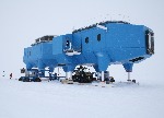 [10010665]