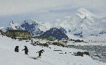 [10010679]