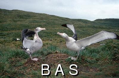 [10003513]
