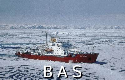 [10003333]