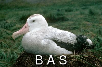 [10005781]