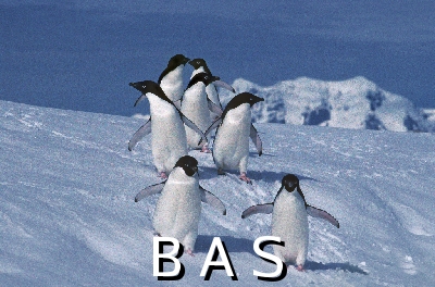 [10005946]