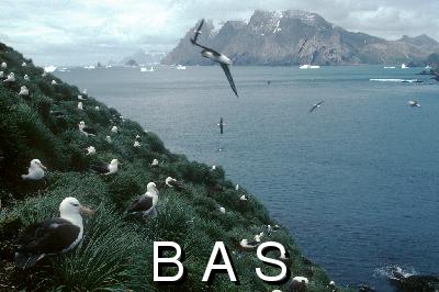 [10006265]
