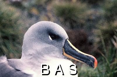 [10006436]