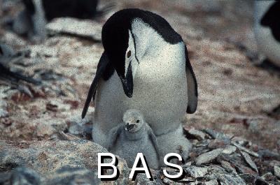[10006543]