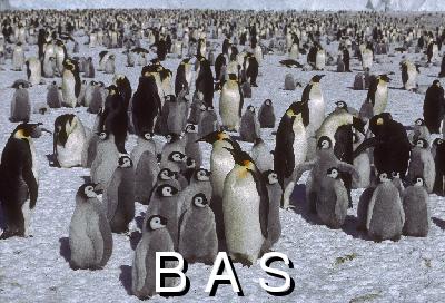 [10006958]