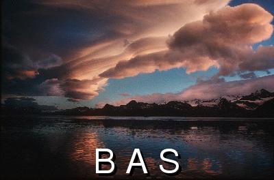 [10007092]