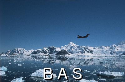 [10008082]