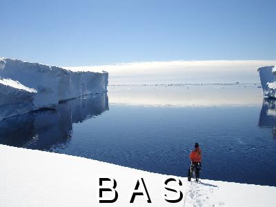 [10008595]