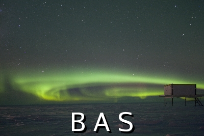 [10009249]