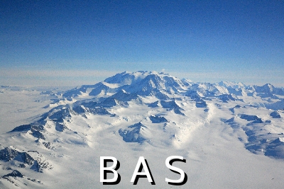[10009406]