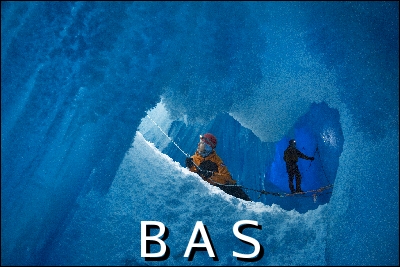 [10009518]
