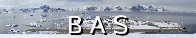 [10009875]