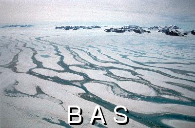 [10002465]