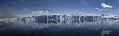 [10010168]