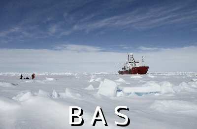 [10010559]
