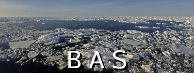 [10010576]