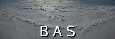 [10010578]