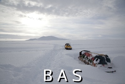 [10010941]