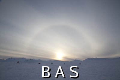 [10010954]