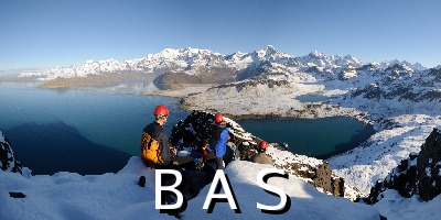 [10011309]