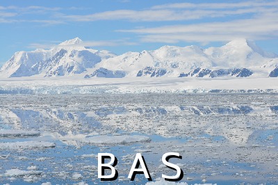[10011756]