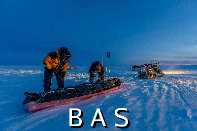 [10011831]