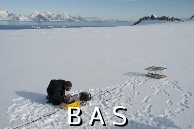 [10011981]