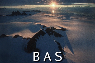 [10005119]