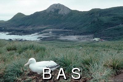 [10005363]