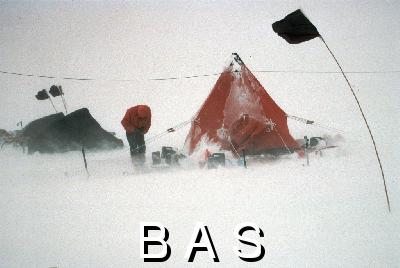 [10002841]