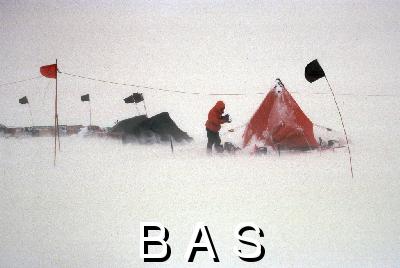 [10002842]